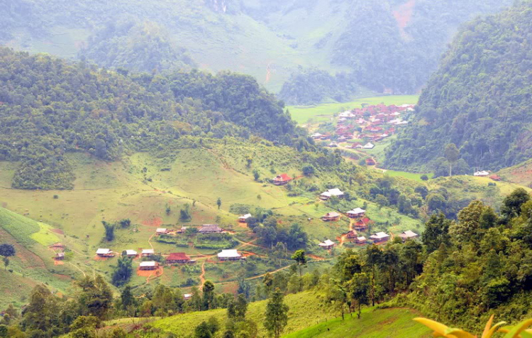 Em lại lang thang