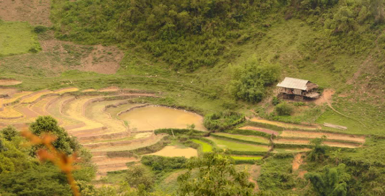 Em lại lang thang