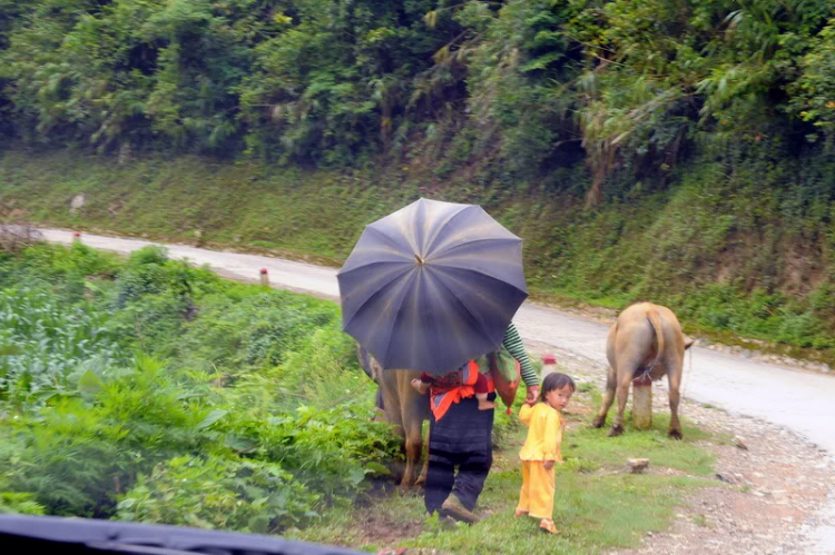 Em lại lang thang