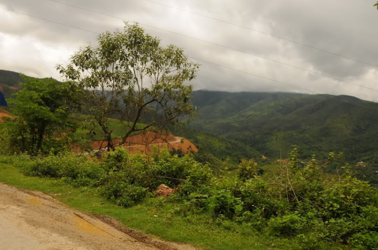 Em lại lang thang