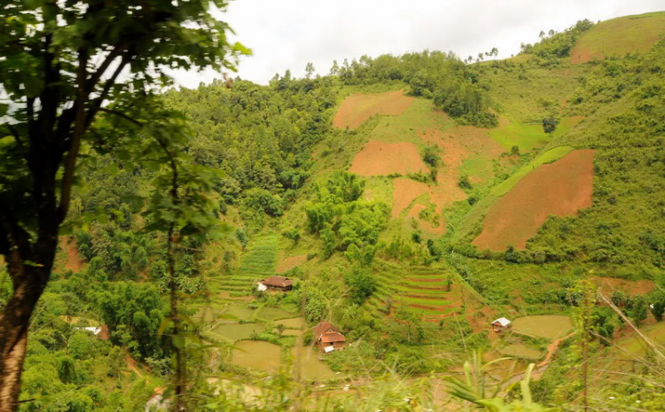 Em lại lang thang