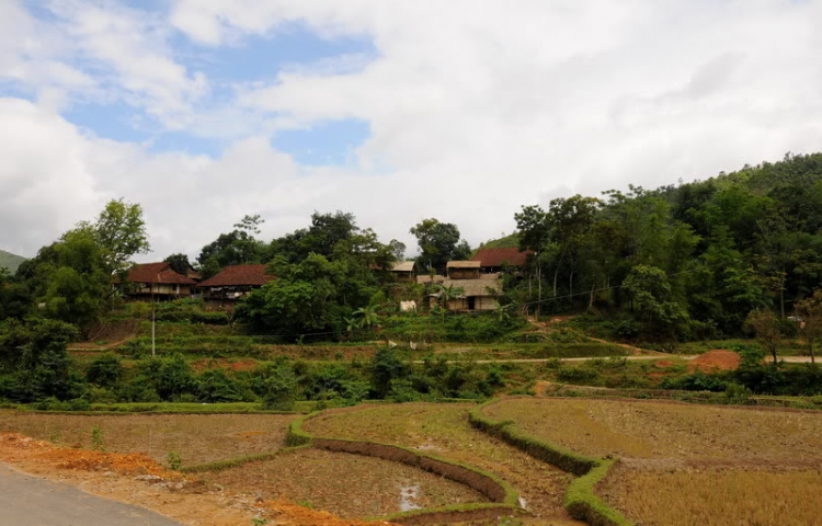 Em lại lang thang