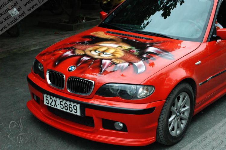 BMW Garfield