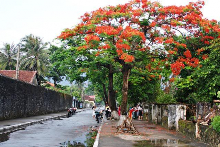 Côn Đảo hoang sơ và quyến rũ