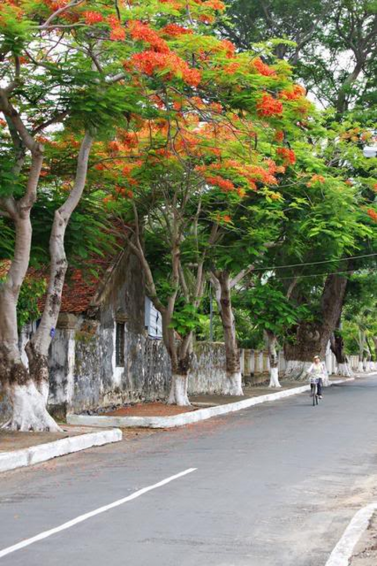 Côn Đảo hoang sơ và quyến rũ