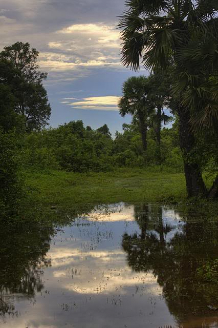 Angkor Kỳ vĩ