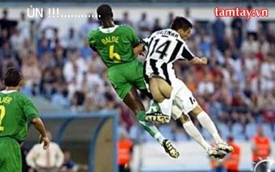 CÂU LẠC BỘ BÓNG ĐÁ SFC CÂU LẠC BỘ BÓNG ĐÁ SFC