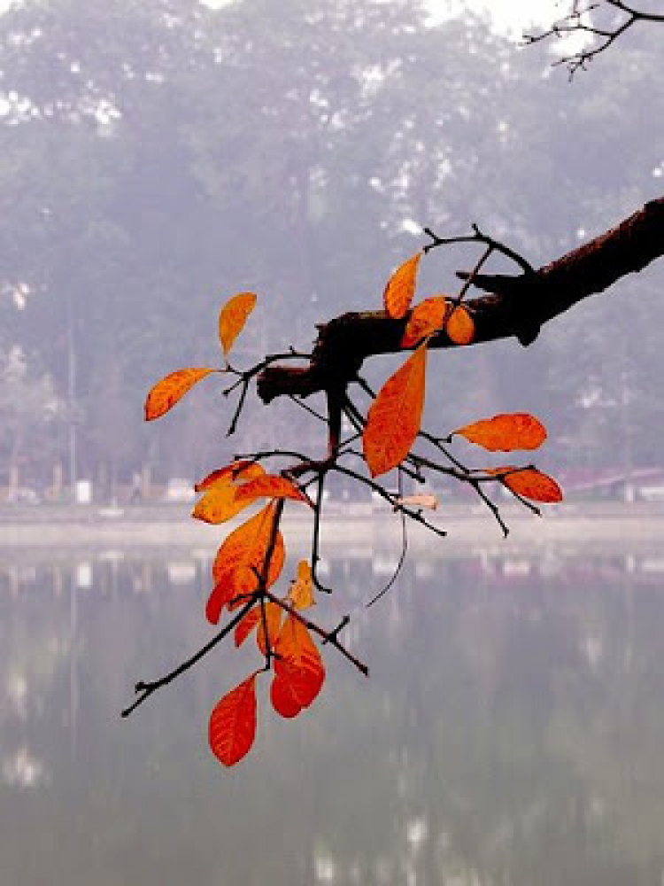 Năm cửa ô đón mừng đoàn quân tiến về! Năm cửa ô đón mừng đoàn quân tiến về!