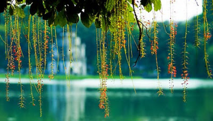 Năm cửa ô đón mừng đoàn quân tiến về! Năm cửa ô đón mừng đoàn quân tiến về!