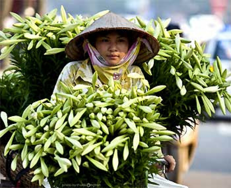 Năm cửa ô đón mừng đoàn quân tiến về!