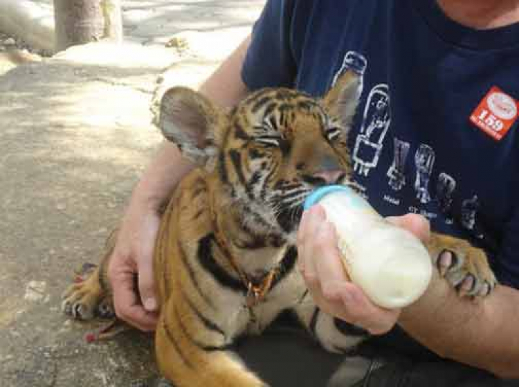 Đi Thailand  vào mùa thu các bác ơi ( 16 - 20 .10 )