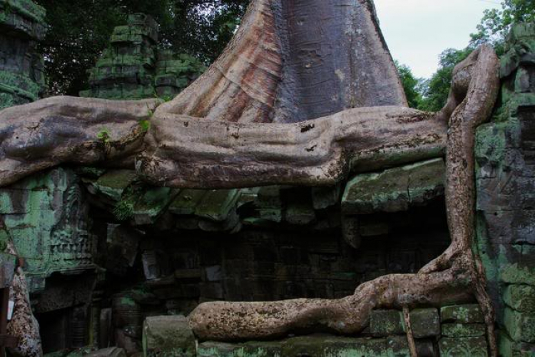 Angkor Kỳ vĩ