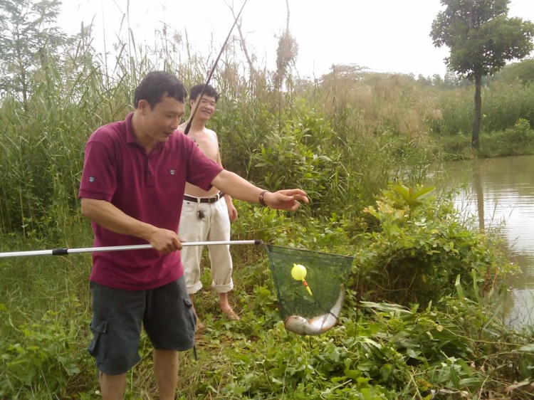 Thứ bảy này 17/10 Câu cá lóc tại Nhà Bè Thứ bảy này 17/10 Câu cá lóc tại Nhà Bè