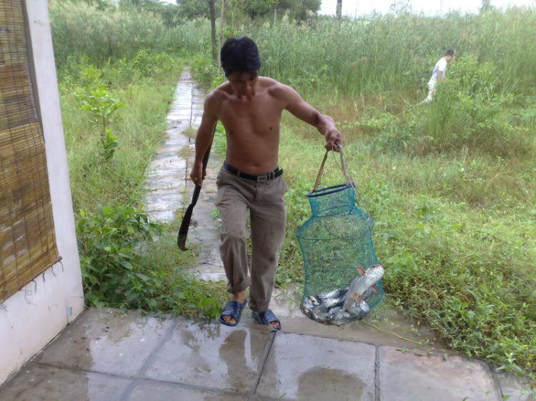 Thứ bảy này 17/10 Câu cá lóc tại Nhà Bè Thứ bảy này 17/10 Câu cá lóc tại Nhà Bè