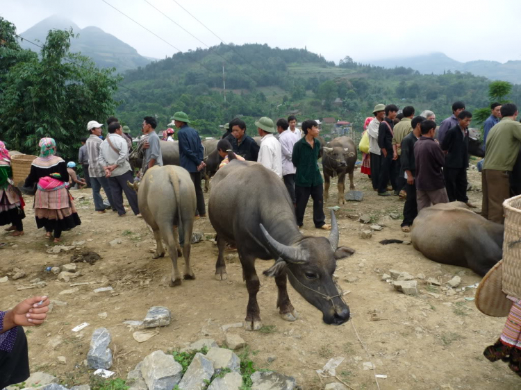Hành trình đoàn Fansipan 09.10