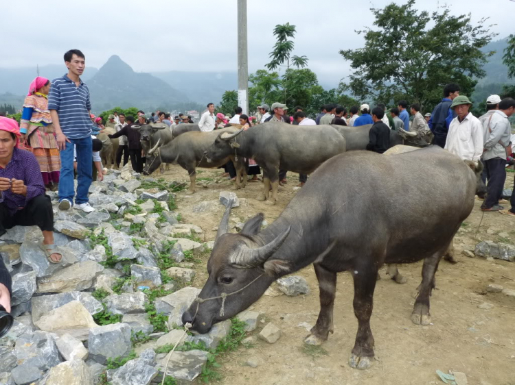Hành trình đoàn Fansipan 09.10