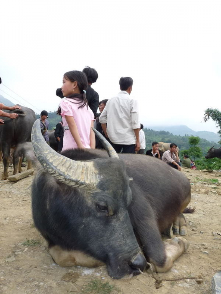 Hành trình đoàn Fansipan 09.10