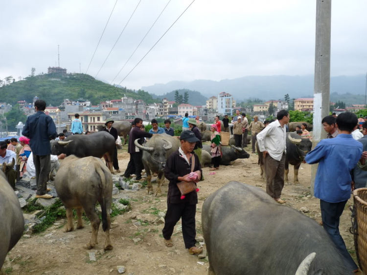 Hành trình đoàn Fansipan 09.10