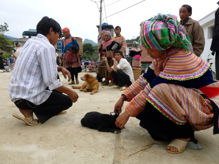 Hành trình đoàn Fansipan 09.10