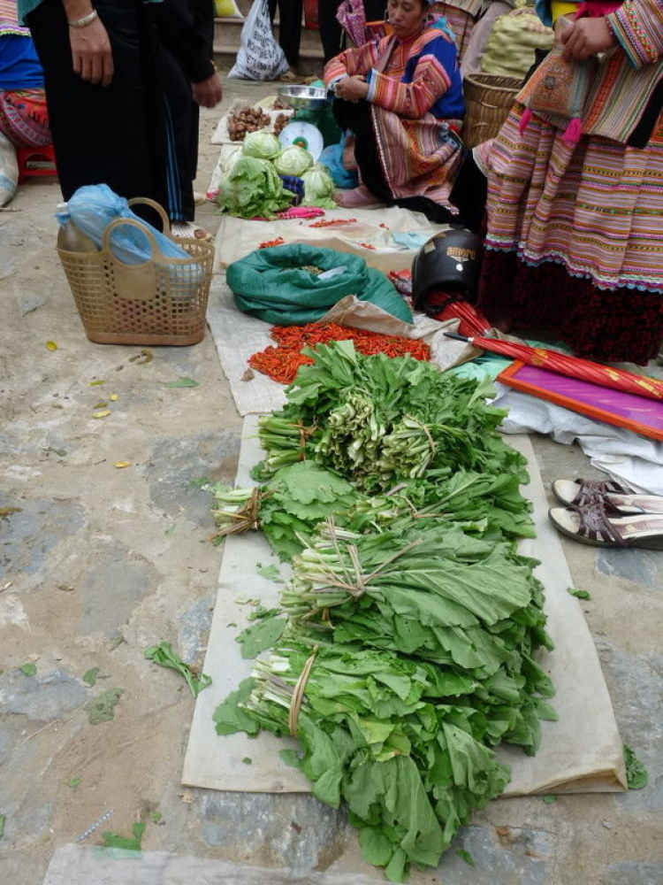 Hành trình đoàn Fansipan 09.10