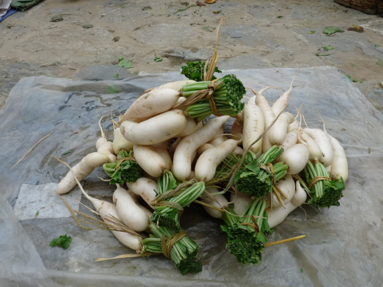 Hành trình đoàn Fansipan 09.10