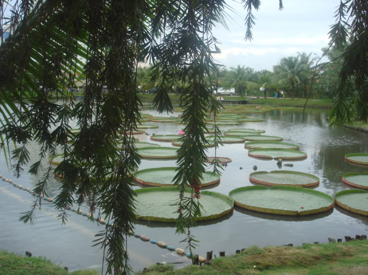 MỜI CÁC THÀNH VIÊN SFC THAM DỰ TIỆC MỪNG "RỬA XE-RỬA LON". MỜI CÁC THÀNH VIÊN SFC THAM DỰ TIỆC MỪNG "RỬA XE-RỬA LON".