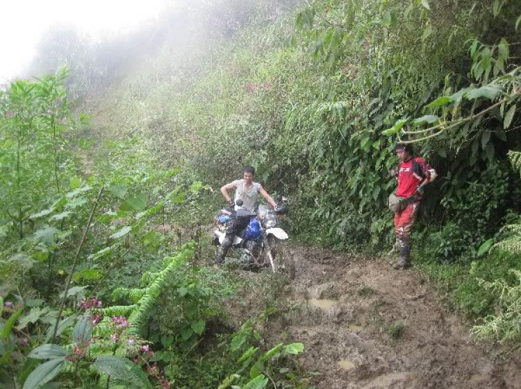 Cào cào và 2B offroad