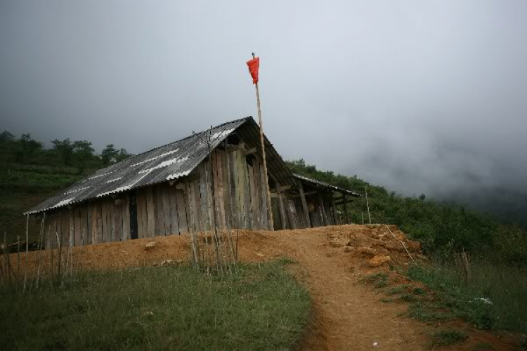 Cào cào và 2B offroad