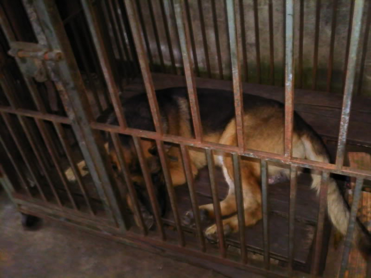 Lên Tây Nguyên đi anh Lên Tây Nguyên đi anh