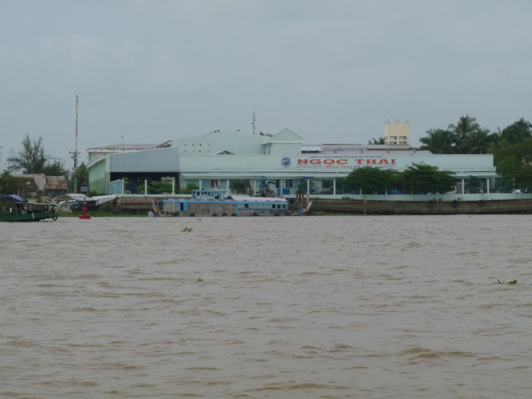 31/10 & 1/11 Đi Xem Lễ Hội Đua Ghe Ngo Tại Sóc Trăng 2009