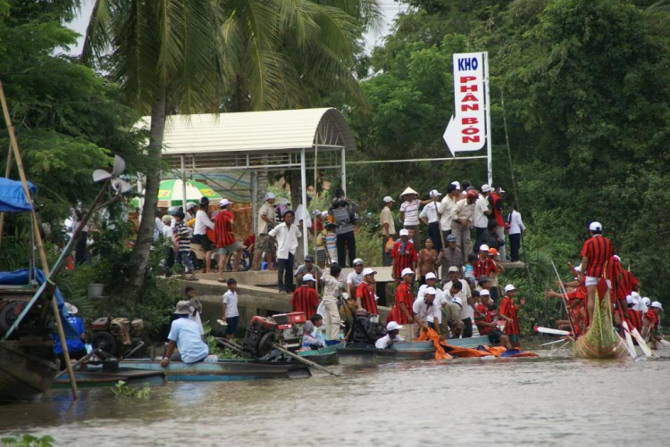 31/10 & 1/11 Đi Xem Lễ Hội Đua Ghe Ngo Tại Sóc Trăng 2009