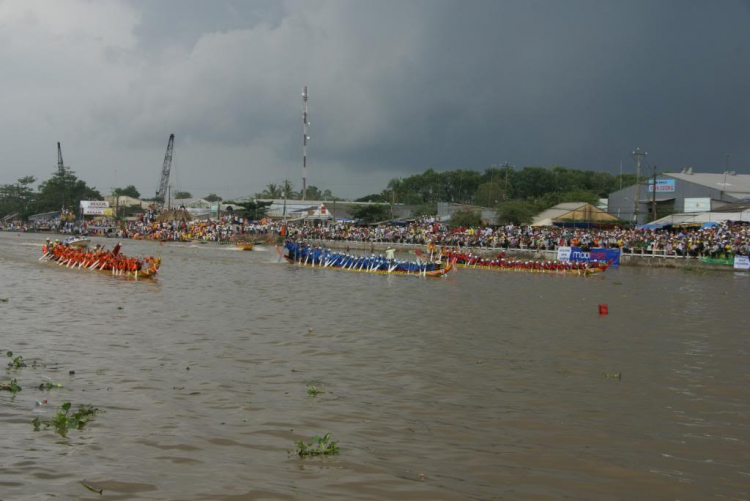 31/10 & 1/11 Đi Xem Lễ Hội Đua Ghe Ngo Tại Sóc Trăng 2009