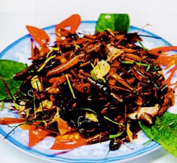 Em chả muốn rút quỹ :( Em chả muốn rút quỹ :(