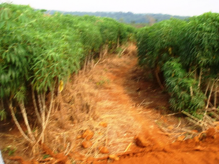 Chinh phục đập thủy điện BÙ GIA MẬP Chinh phục đập thủy điện BÙ GIA MẬP