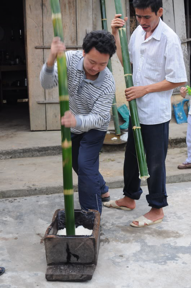 Cuối tuần về vùng quê nghỉ ngơi, xả stress mời các bác xem