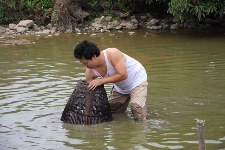 Cuối tuần về vùng quê nghỉ ngơi, xả stress mời các bác xem