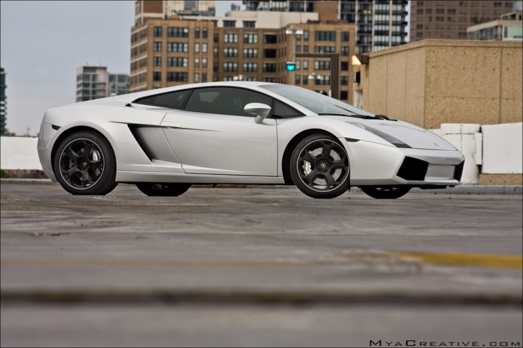 Ferrari F430 Scuderia & Lamborghini Gallardo