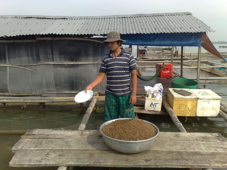 CHƯƠNG TRÌNH DU LỊCH LA NGÀ TẾT DƯƠNG LỊCH CỦA GMFC CHƯƠNG TRÌNH DU LỊCH LA NGÀ TẾT DƯƠNG LỊCH CỦA GMFC