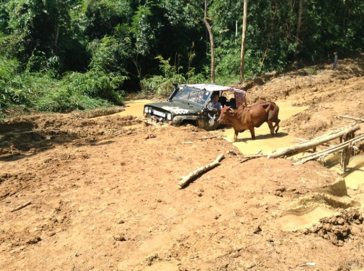 Kể linh tinh chuyện Offroad...