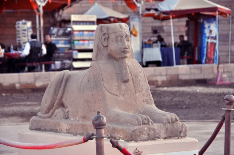Hai tuần với Ai cập.