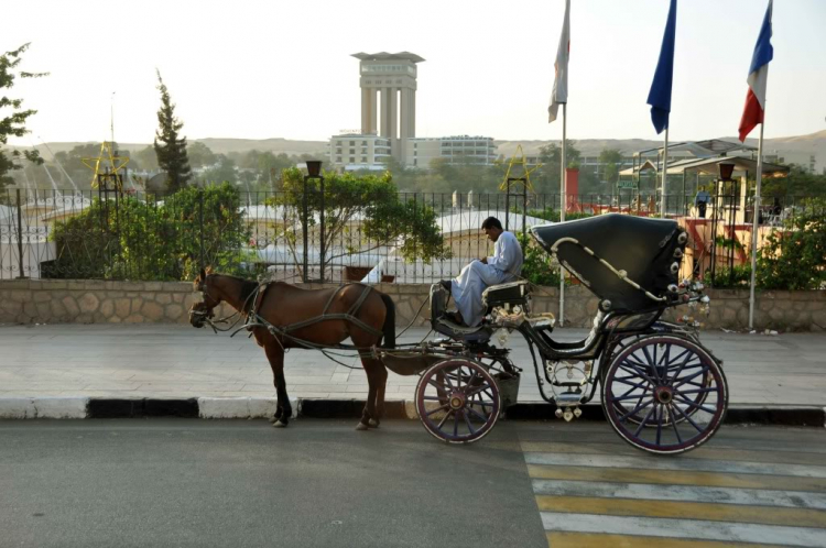 Hai tuần với Ai cập.