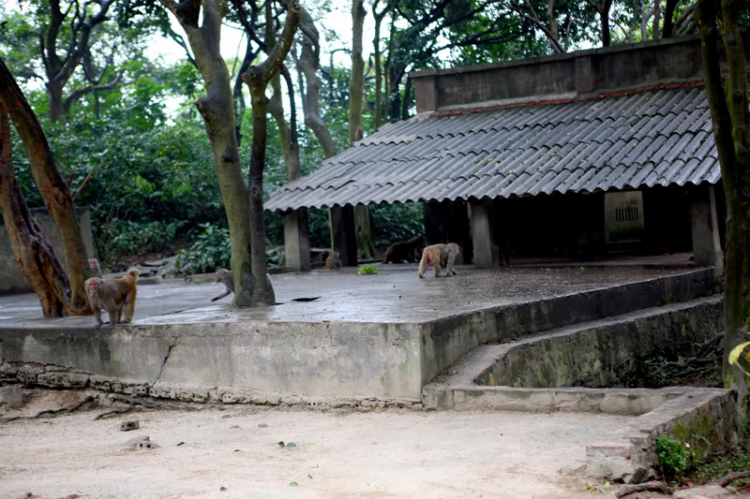 Tết này, đi đâu?