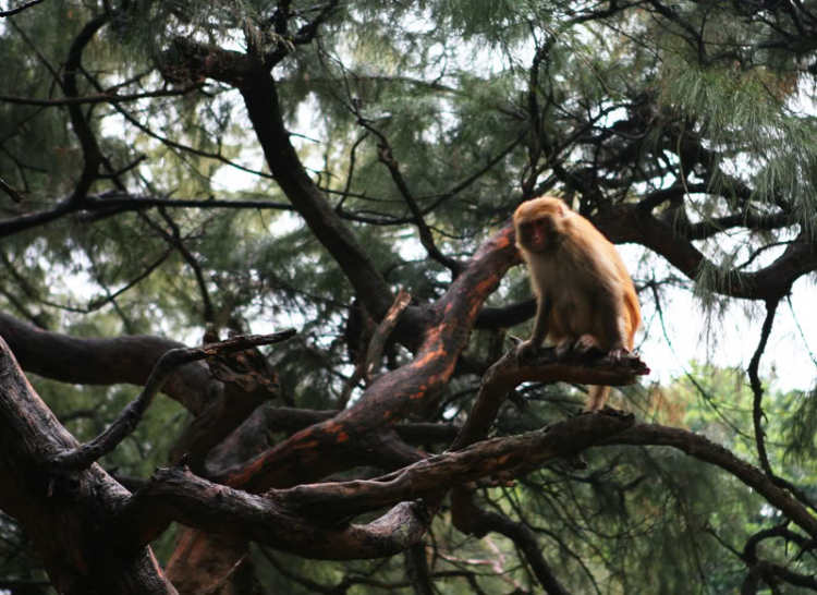 Tết này, đi đâu?