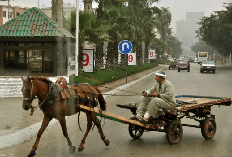 Hai tuần với Ai cập.