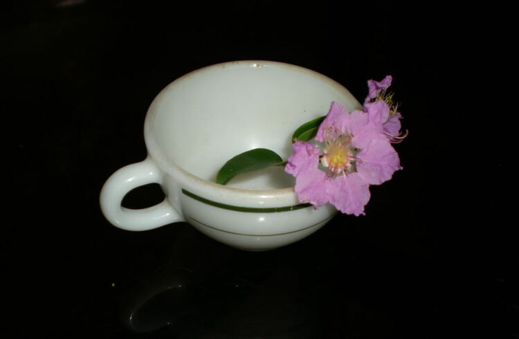 Cuối tuần chụp linh tinh. Cuối tuần chụp linh tinh.