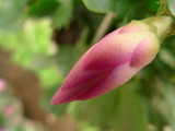 Cuối tuần chụp linh tinh. Cuối tuần chụp linh tinh.