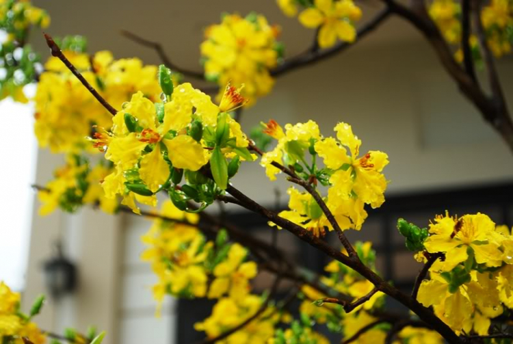 Cuối tuần chụp linh tinh. Cuối tuần chụp linh tinh.