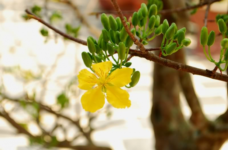 Cuối tuần chụp linh tinh.