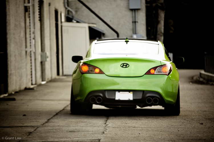 Genesis Coupe màu độc