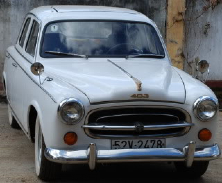 Peugeot 403 tìm đồng minh.